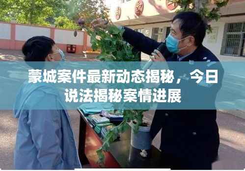 蒙城案件最新动态揭秘,今日说法揭秘案情进展