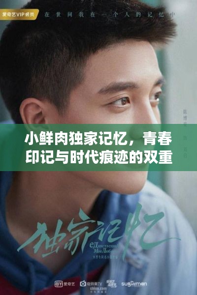 小鲜肉独家记忆，青春印记与时代痕迹的双重奏