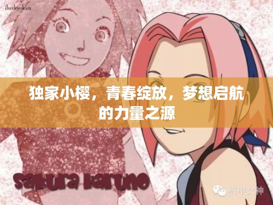 独家小樱,青春绽放,梦想启航的力量之源