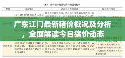 广东江门最新猪价概况及分析，全面解读今日猪价动态