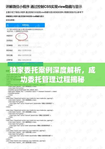 独家委托案例深度解析，成功委托管理过程揭秘