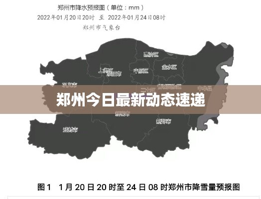 郑州今日最新动态速递