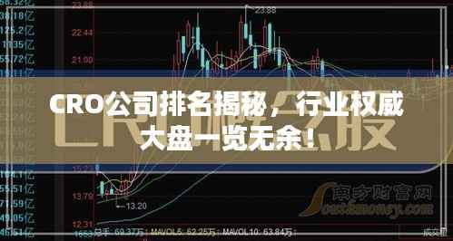 CRO公司排名揭秘,行业权威大盘一览无余!