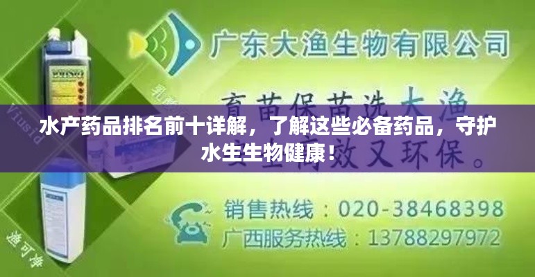 空前绝后 第3页