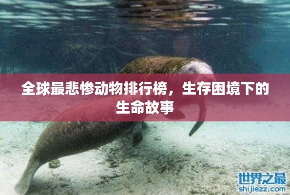 全球最悲惨动物排行榜,生存困境下的生命故事