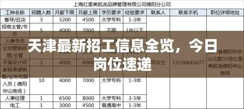 天津最新招工信息全览,今日岗位速递
