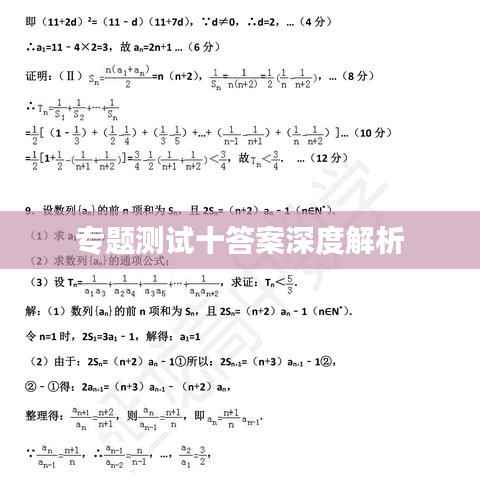 专题测试十答案深度解析
