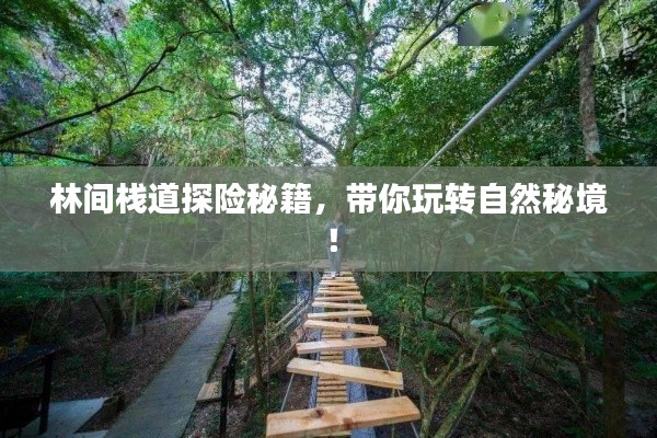 林间栈道探险秘籍,带你玩转自然秘境!