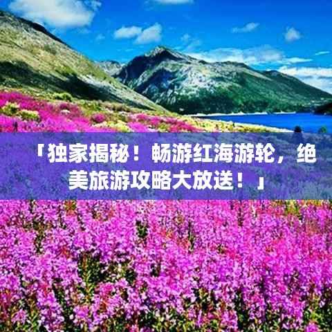 「独家揭秘！畅游红海游轮，绝美旅游攻略大放送！」