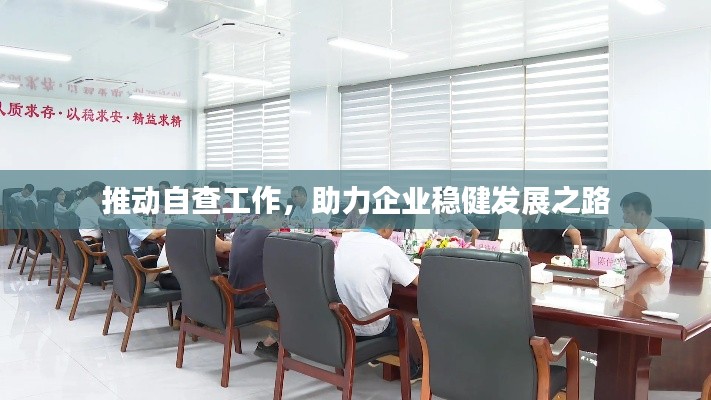 推动自查工作，助力企业稳健发展之路