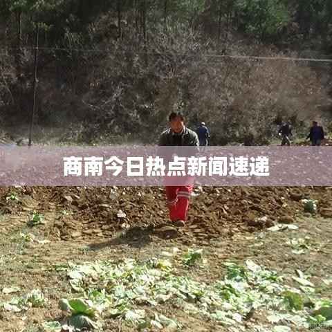 商南今日热点新闻速递