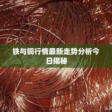 另谋高就 第4页