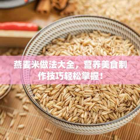 燕麦米做法大全，营养美食制作技巧轻松掌握！