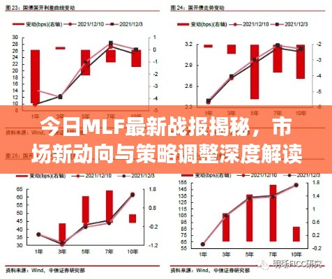 今日MLF最新战报揭秘，市场新动向与策略调整深度解读