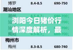 浏阳今日猪价行情深度解析，最新市场动态，一览无余！