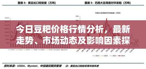 今日豆粑价格行情分析,最新走势、市场动态及影响因素探讨