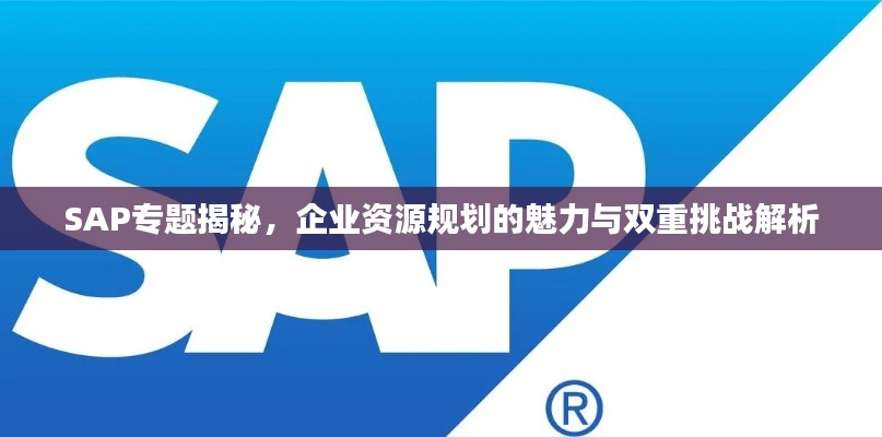 SAP专题揭秘，企业资源规划的魅力与双重挑战解析