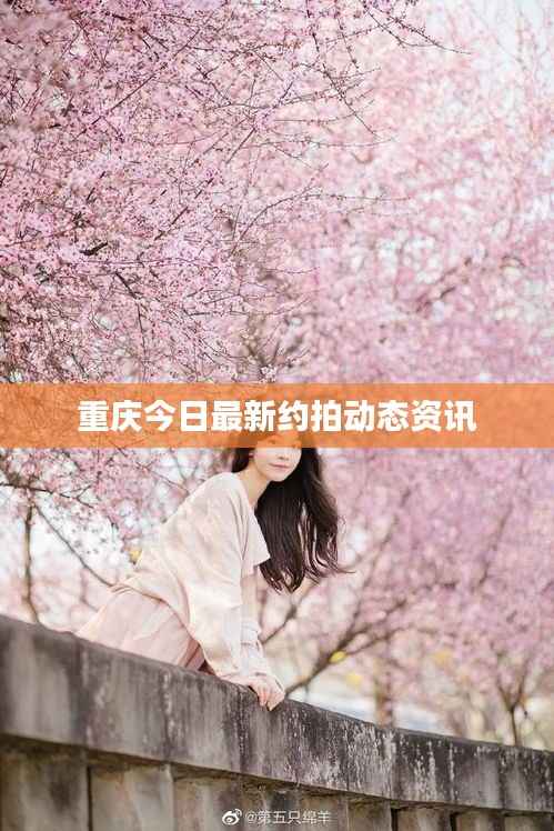 重庆今日最新约拍动态资讯