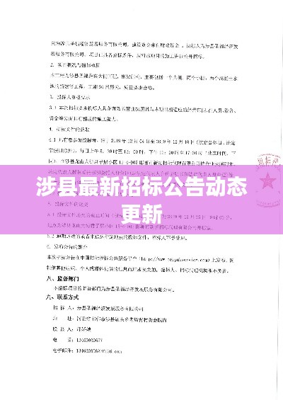 涉县最新招标公告动态更新