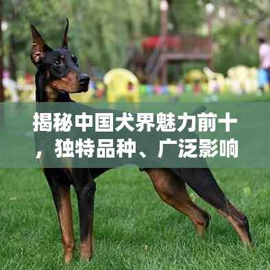 一毫不苟 第4页