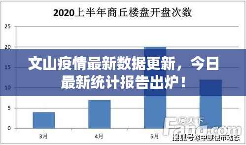 文山疫情最新数据更新，今日最新统计报告出炉！