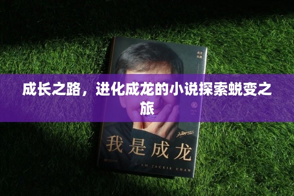 成长之路，进化成龙的小说探索蜕变之旅