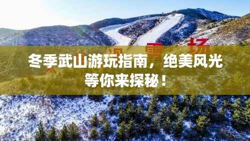 冬季武山游玩指南,绝美风光等你来探秘!