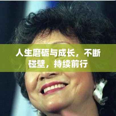 鸟惊鱼骇 第5页