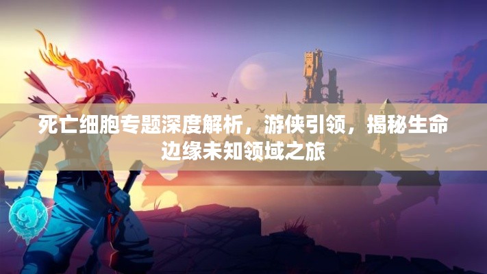 死亡细胞专题深度解析,游侠引领,揭秘生命边缘未知领域之旅