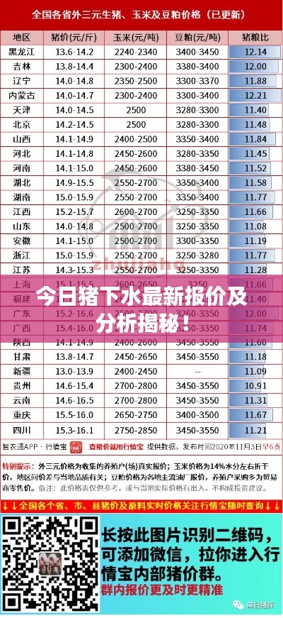 今日猪下水最新报价及分析揭秘!
