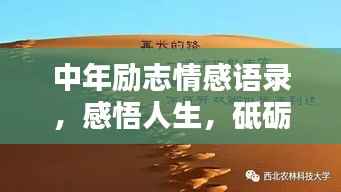 按部就班 第3页