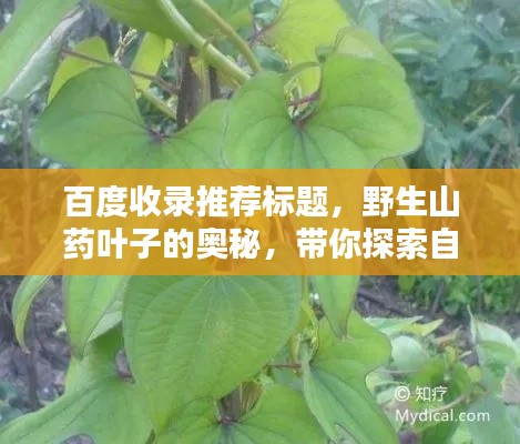 富贵荣华 第3页