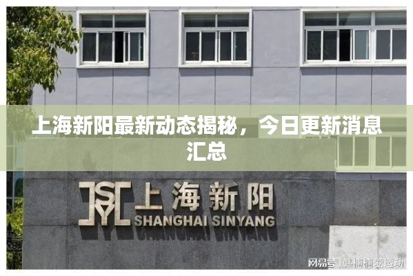 上海新阳最新动态揭秘,今日更新消息汇总