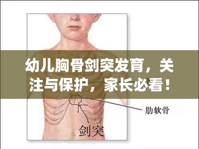 幼儿胸骨剑突发育，关注与保护，家长必看！