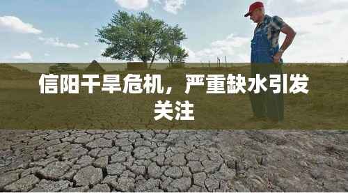 信阳干旱危机，严重缺水引发关注