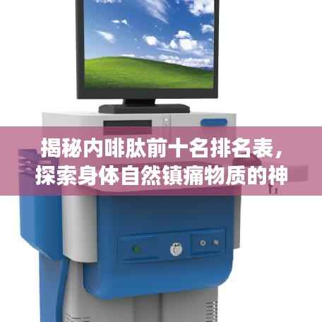 揭秘内啡肽前十名排名表，探索身体自然镇痛物质的神奇奥秘