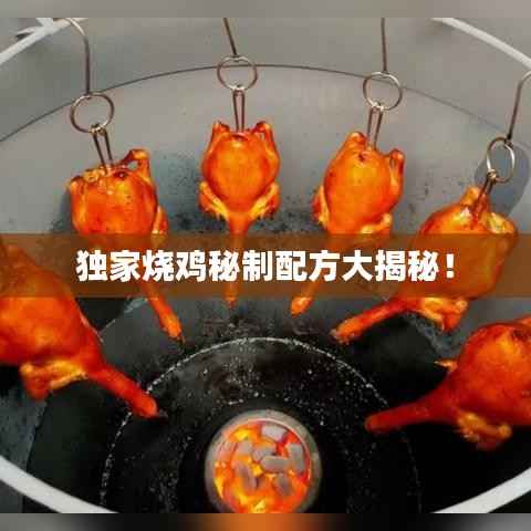 独家烧鸡秘制配方大揭秘！