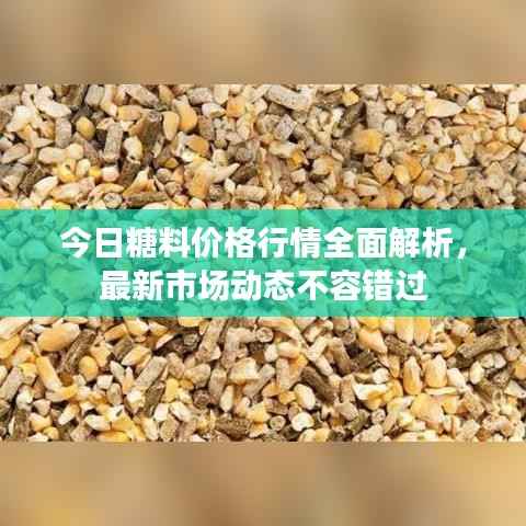 今日糖料价格行情全面解析，最新市场动态不容错过