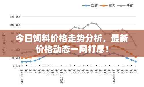 今日饲料价格走势分析,最新价格动态一网打尽!
