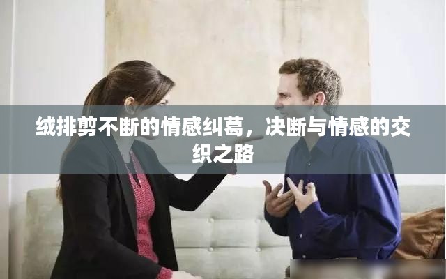 绒排剪不断的情感纠葛，决断与情感的交织之路