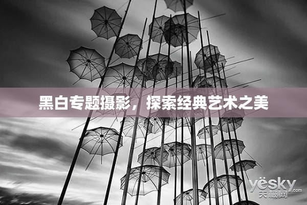 黑白专题摄影，探索经典艺术之美