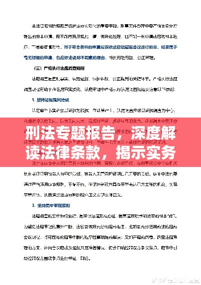 刑法专题报告，深度解读法律条款，揭示实务应用之道