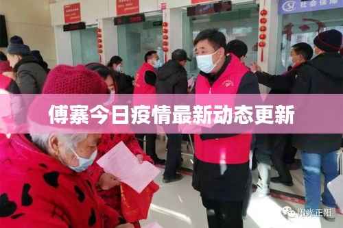 傅寨今日疫情最新动态更新