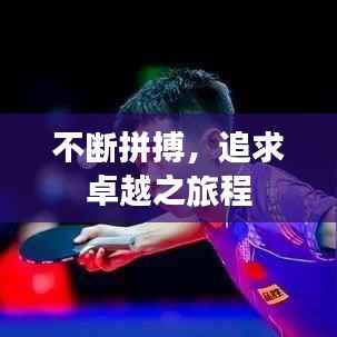 不断拼搏,追求卓越之旅程