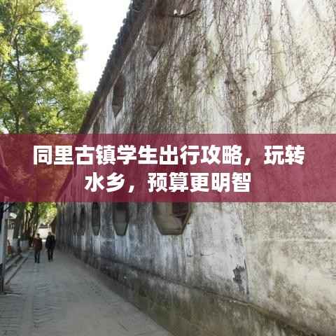 同里古镇学生出行攻略,玩转水乡,预算更明智