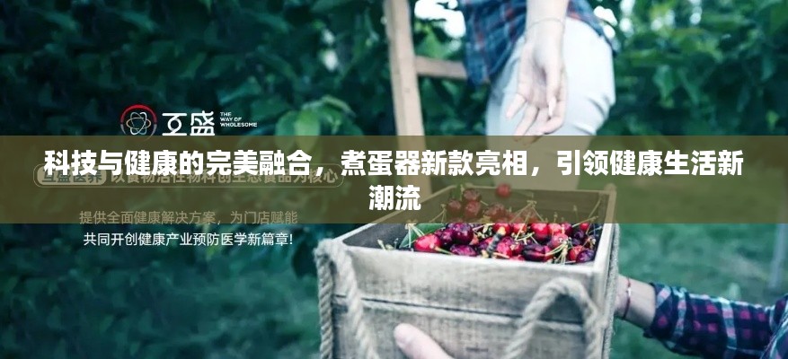 科技与健康的完美融合，煮蛋器新款亮相，引领健康生活新潮流