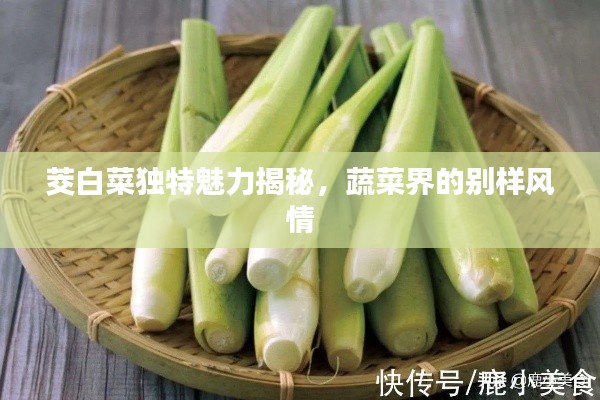 茭白菜独特魅力揭秘，蔬菜界的别样风情