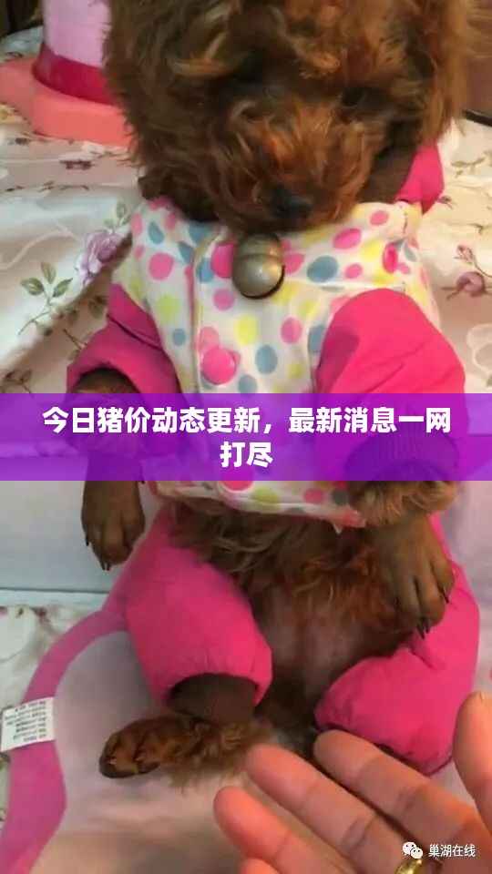 老死不相往来 第4页