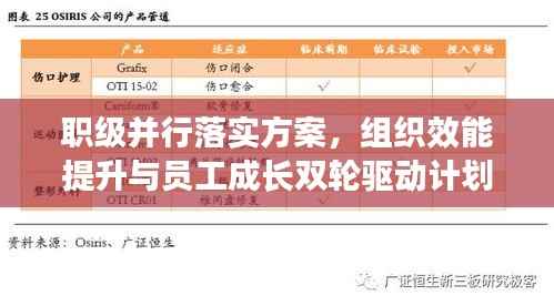 职级并行落实方案,组织效能提升与员工成长双轮驱动计划