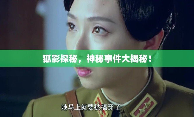 狐影探秘，神秘事件大揭秘！